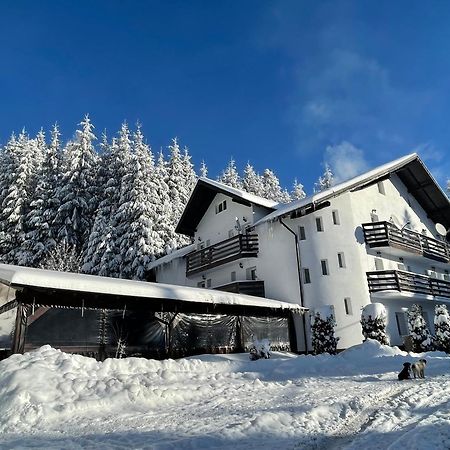 Pensiunea Silvania Statjunea Borsa Bagian luar foto