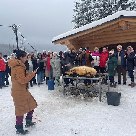 Pensiunea Silvania Statjunea Borsa Bagian luar foto