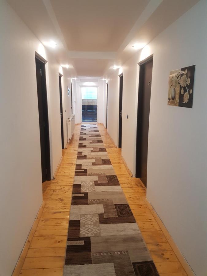 Pensiunea Silvania Statjunea Borsa Bagian luar foto